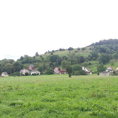 Les Studios Du Frankenthal Stosswihr Exterior photo